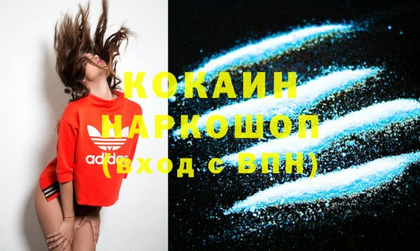 индика Алексеевка