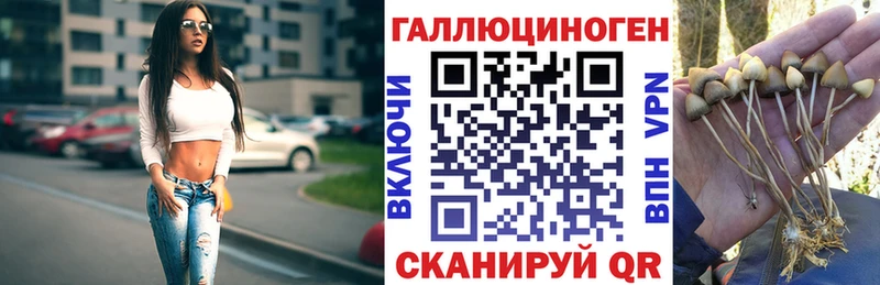 Псилоцибиновые грибы MAGIC MUSHROOMS  Хотьково 